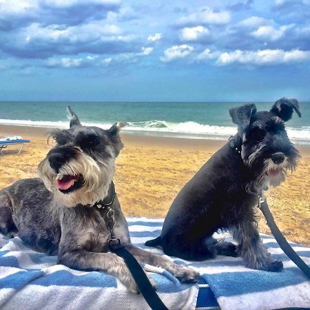 South Beach Inn Beach Motel เซาท์ปาเดรไอส์แลนด์ ภายนอก รูปภาพ